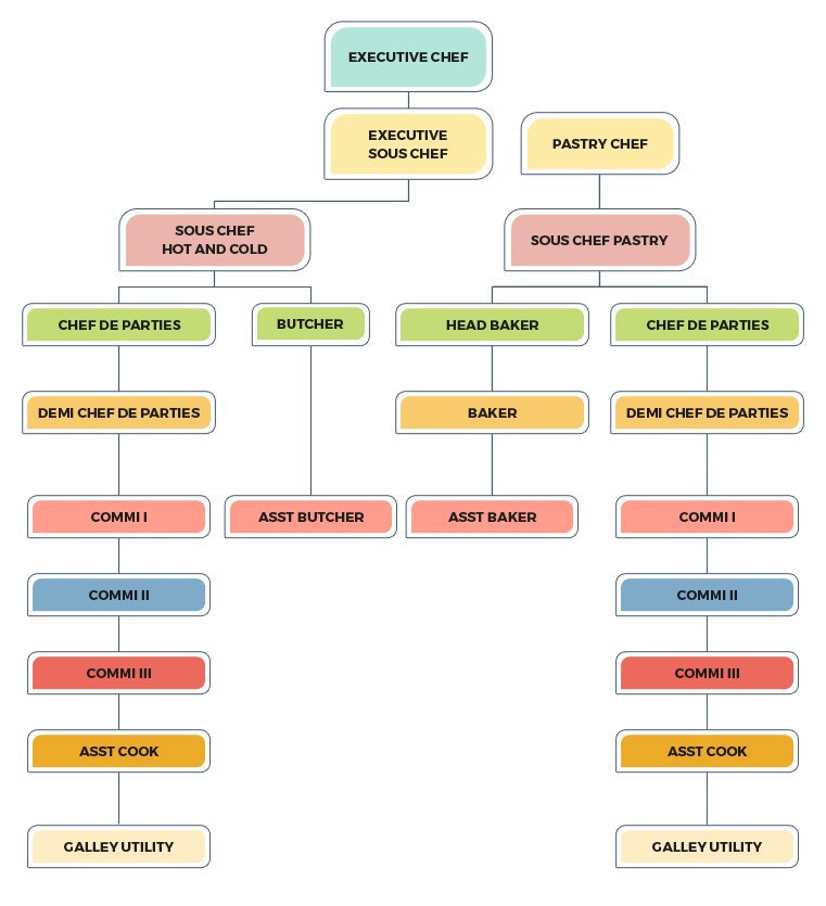 Chef career tree