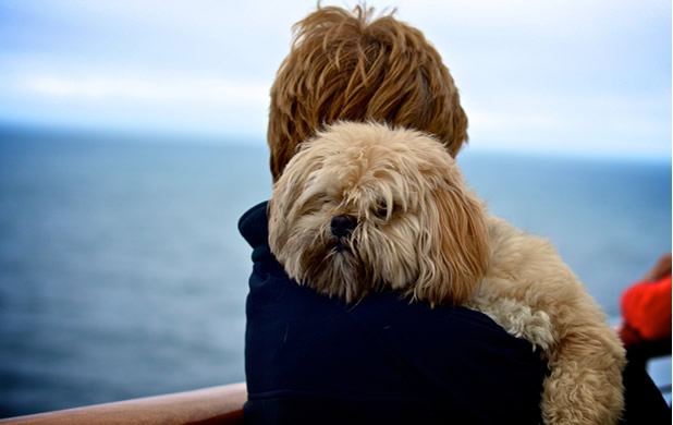 pet friendly cruises