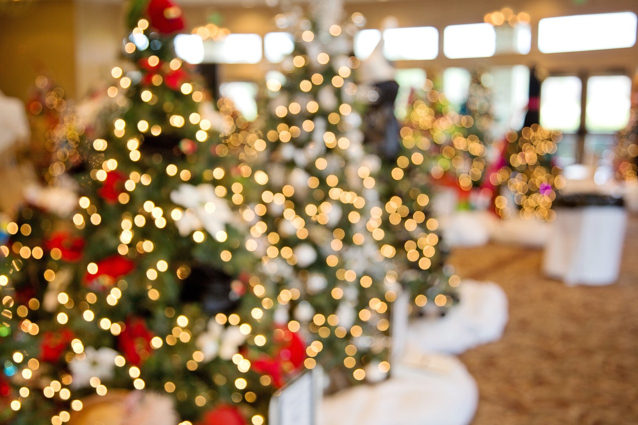 What Cruise Ship Chefs get up to for Christmas